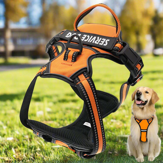 Service Animal Harness for dogs and Cats - TSA Approved