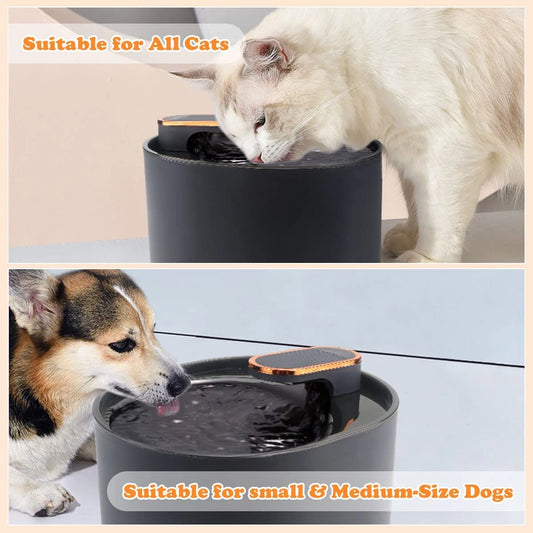 Smart Pet Water Fountain with Motion Sensor and LED Light