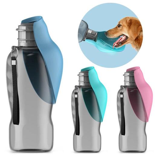 Portable Folding Water Bottle