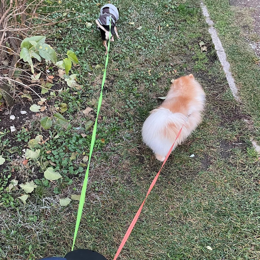 Non-Tangle 2 Dogs Leash with Built-in Flashlight and Poop Bag