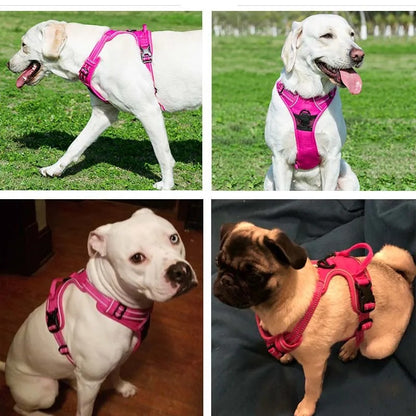 Pet Vest with Reflective Breathable Material