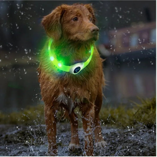 Dog Illuminated LED Light Collar