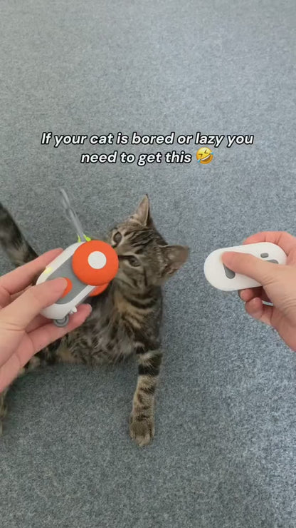 My Little Car - Electric Smart Cat Toy with Remote Control Option